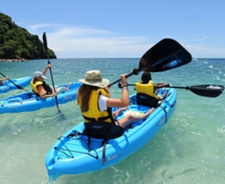  Pássaros observando 